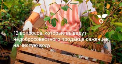 12 вопросов, которые выведут недобросовестного продавца саженцев на чистую воду - botanichka.ru