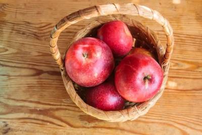 Что сделать, чтобы яблоки дольше хранились: советы дачникам - belnovosti.by