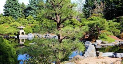 Дворик с веянием Дальнего Востока: как создать сад в японском стиле - rus.delfi.lv - Япония