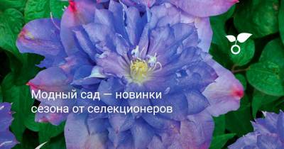 Модный сад — новинки сезона от селекционеров - botanichka.ru