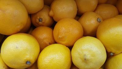 Как вырастить лимон: 5 рекомендаций - belnovosti.by
