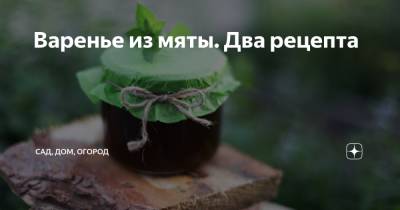 Варенье из мяты. Два рецепта - zen.yandex.ru
