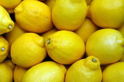 Два нестандартных способа применения лимона в огороде - belnovosti.by