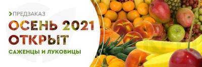 Предзаказ Осень 2021 открыт - agro-market24.ru