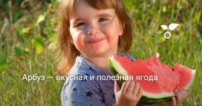Арбуз — вкусная и полезная ягода - botanichka.ru
