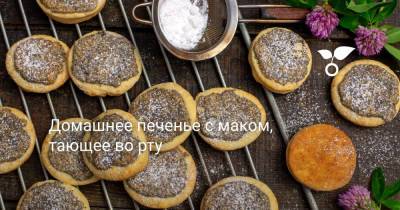 Домашнее печенье с маком, тающее во рту - botanichka.ru