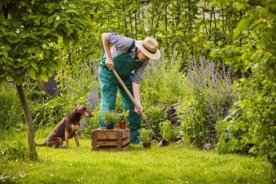 Что делать в июне – 30 самых важных дел в саду, огороде и цветнике - ogorod.ru