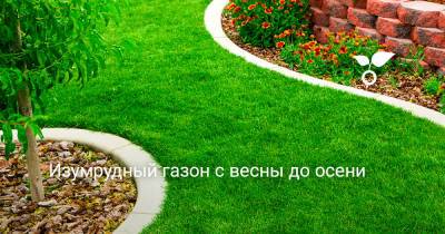 Изумрудный газон с весны до осени - botanichka.ru