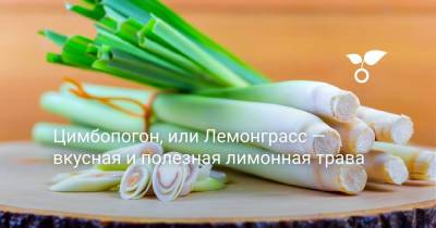 Цимбопогон, или Лемонграсс — вкусная и полезная лимонная трава - botanichka.ru