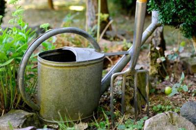 Стоит ли поливать огород теплой водой? Ответ экспертов - belnovosti.by