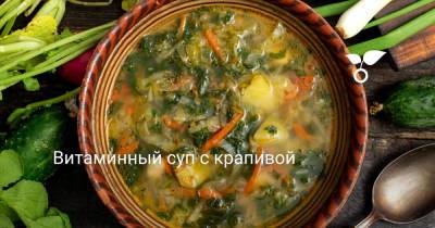 Витаминный суп с крапивой - botanichka.ru