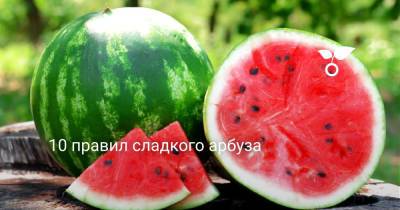 10 правил сладкого арбуза - botanichka.ru