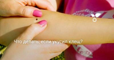 Что делать, если укусил клещ? - botanichka.ru