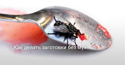 Как делать заготовки без мух? - botanichka.ru