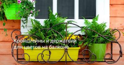 Кронштейны и держатели для цветов на балконе - botanichka.ru
