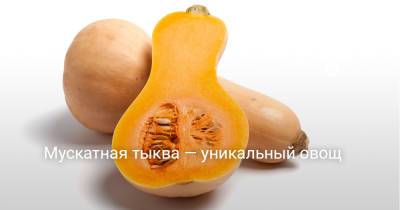 Мускатная тыква — уникальный овощ - botanichka.ru - Россия - Украина - Краснодарский край - Ставрополье край