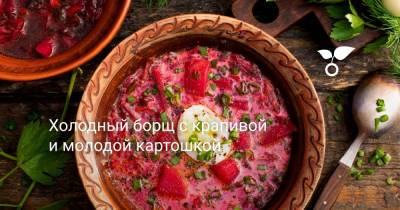 Холодный борщ с крапивой и молодой картошкой - botanichka.ru