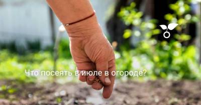 Что посеять в июле в огороде? - botanichka.ru