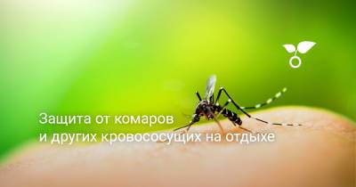 Защита от комаров и других кровососущих на отдыхе - botanichka.ru