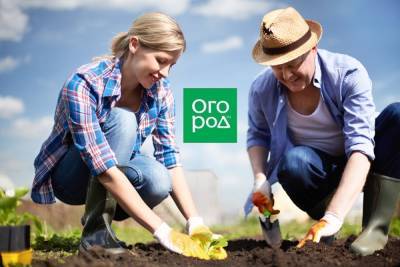 7 доказательств того, что садоводство – очень полезное занятие - ogorod.ru