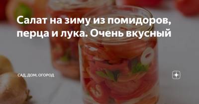 Салат на зиму из помидоров, перца и лука. Очень вкусный - zen.yandex.ru