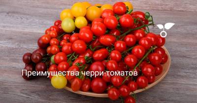 Преимущества черри-томатов - botanichka.ru