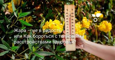 Жара — не в радость, или Как бороться с тепловыми расстройствами здоровья? - botanichka.ru