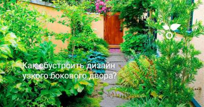 Как обустроить дизайн узкого бокового двора? - botanichka.ru