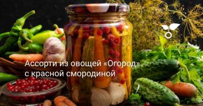 Ассорти из овощей «Огород» с красной смородиной - botanichka.ru