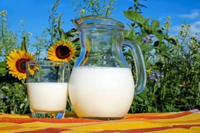 Как спасти урожай с помощью молока - belnovosti.by
