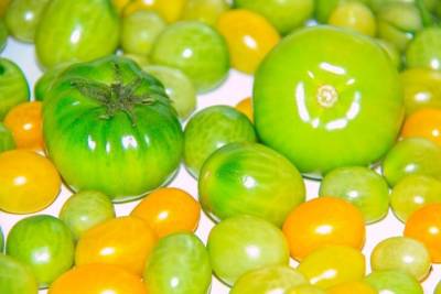 Как хранить зелёные помидоры, чтобы они покраснели - belnovosti.by