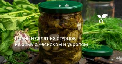 Пряный салат из огурцов на зиму с чесноком и укропом - botanichka.ru