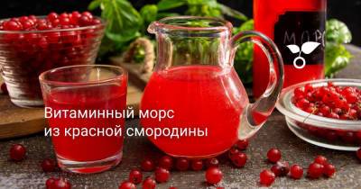 Витаминный морс из красной смородины - botanichka.ru
