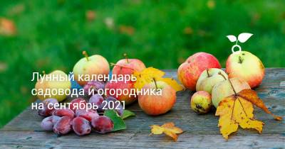 Лунный календарь садовода и огородника на сентябрь 2021 - botanichka.ru