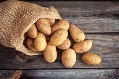 Как сохранить картофель до весны? - aif.ru