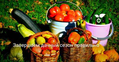 Завершаем дачный сезон правильно - botanichka.ru