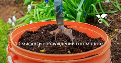 10 мифов и заблуждений о компосте - botanichka.ru