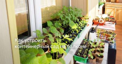 Как устроить контейнерный сад на балконе - botanichka.ru