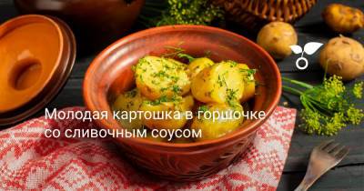 Молодая картошка в горшочке со сливочным соусом - botanichka.ru
