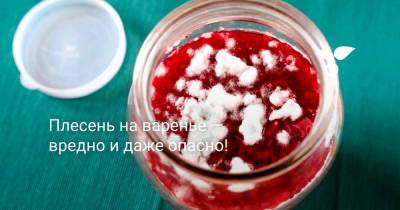 Плесень на варенье — вредно и даже опасно! - botanichka.ru