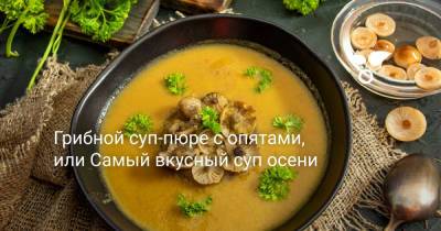 Грибной суп-пюре с опятами, или Самый вкусный суп осени - botanichka.ru