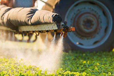 Что такое поддельные пестициды и почему их покупают фермеры - rynok-apk.ru - Канада - Египет - Саудовская Аравия