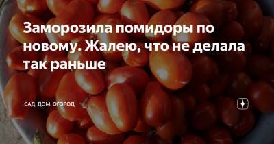 Заморозила помидоры по новому. Жалею, что не делала так раньше - zen.yandex.ru - Россия
