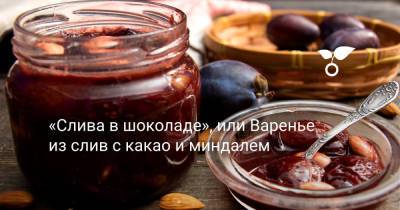 «Слива в шоколаде», или Варенье из слив с какао и миндалем - botanichka.ru