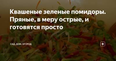 Квашеные зеленые помидоры. Пряные, в меру острые, и готовятся просто - zen.yandex.ru