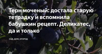 Терн моченый: достала старую тетрадку и вспомнила бабушкин рецепт. Деликатес, да и только - zen.yandex.ru