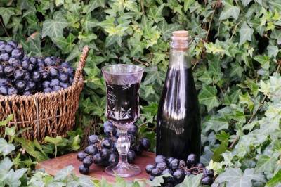 Домашнее вино из винограда: 14 простых рецептов с фото - ogorod.ru - г. Виноград