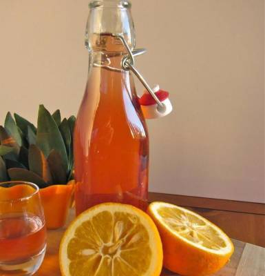 Апельсиновое вино в домашних условиях - fermilon.ru