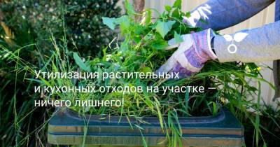 Утилизация растительных и кухонных отходов на участке — ничего лишнего! - botanichka.ru