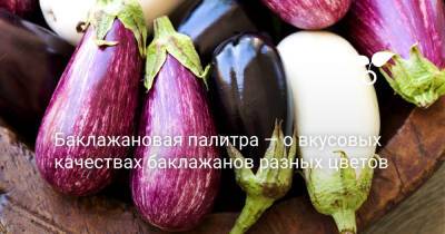 Баклажановая палитра — о вкусовых качествах баклажанов разных цветов - botanichka.ru